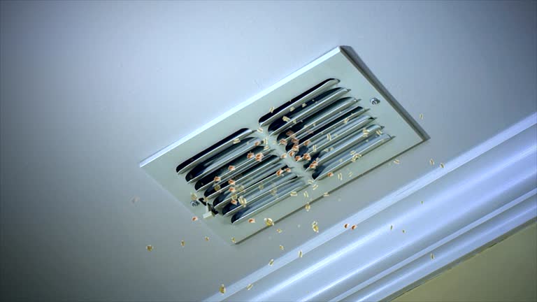 Best Local Air Duct Cleaning Services  in Magnolia, NJ