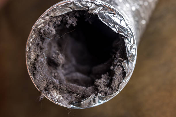 Best HVAC System Cleaning  in Magnolia, NJ