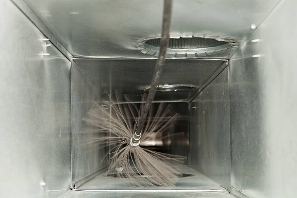 Best Professional Duct Cleaning Services  in Magnolia, NJ