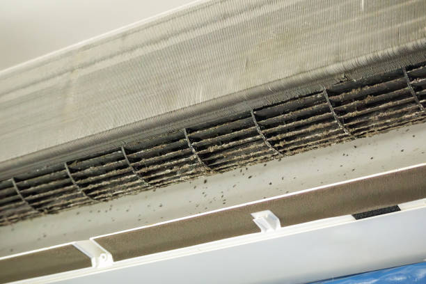 Best Emergency Air Duct Cleaning  in Magnolia, NJ