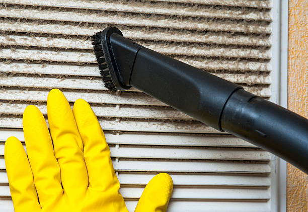 Best Ductwork Cleaning Services  in Magnolia, NJ